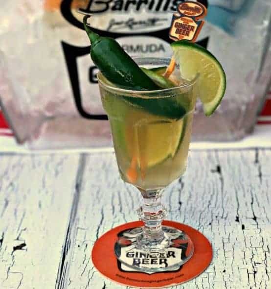 Ginger Beer Tequila Mexican Mule Cocktail Ginger Beer Tequila Mexican Mule Cocktail