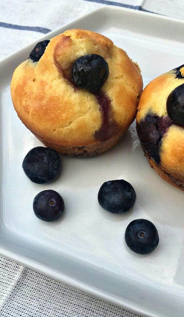 Dairy Free Lemon Blueberry Protein Muffins