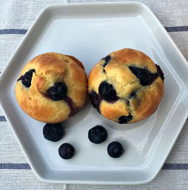 Dairy Free Lemon Blueberry Protein Muffins