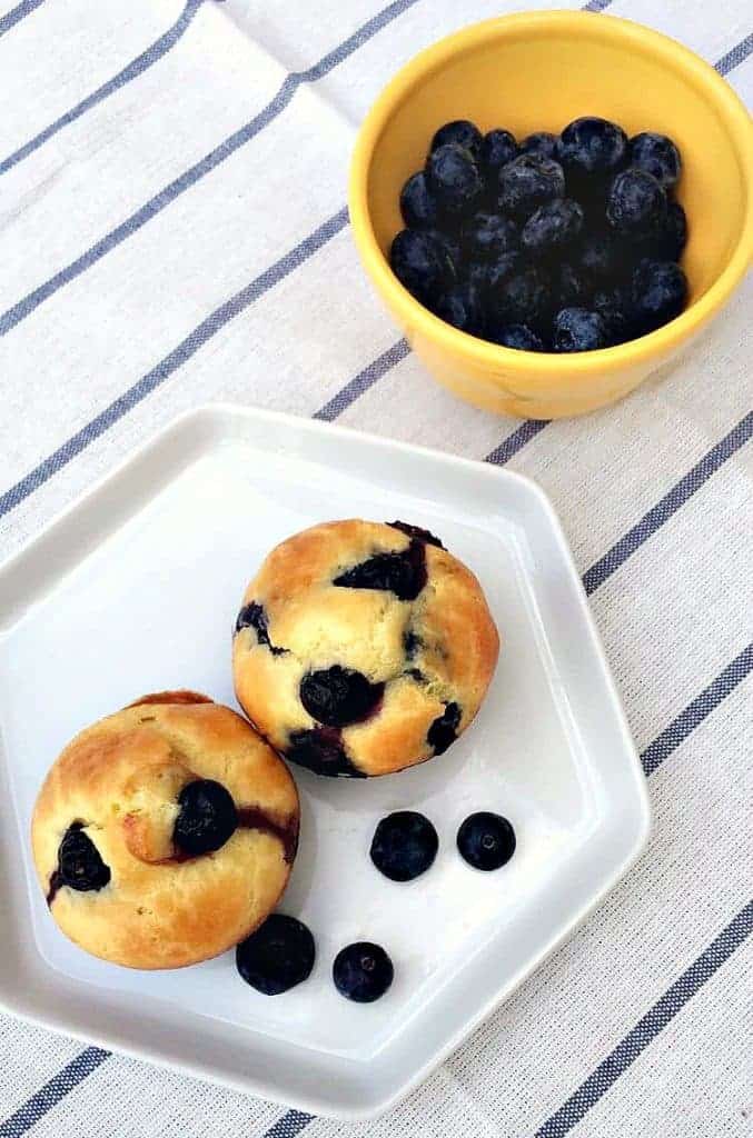 Dairy Free Lemon Blueberry Protein Muffins