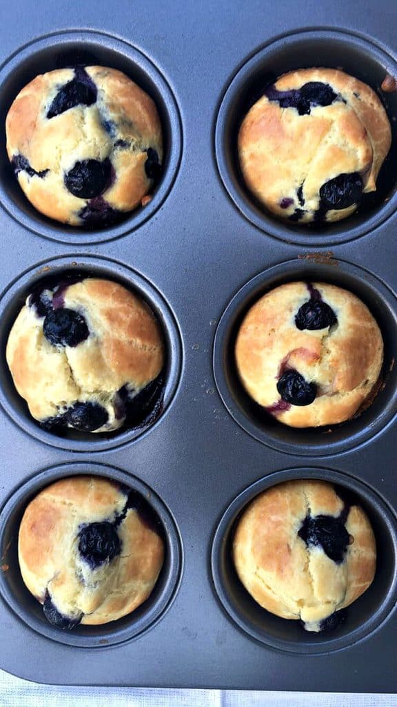 Dairy Free Lemon Blueberry Protein Muffins