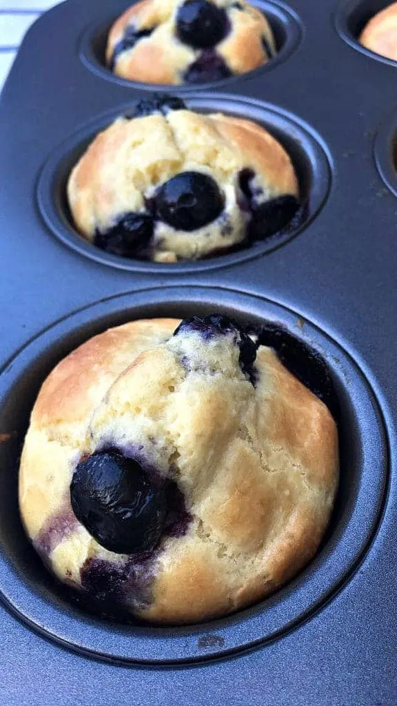 Dairy Free Lemon Blueberry Protein Muffins