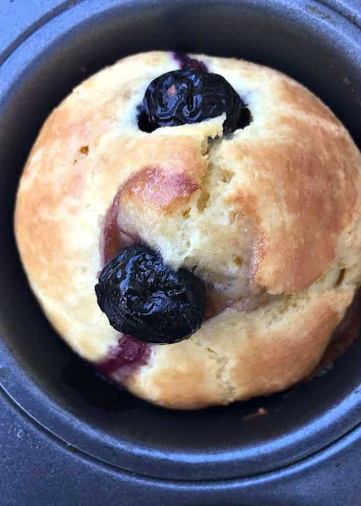 Dairy Free Lemon Blueberry Protein Muffins