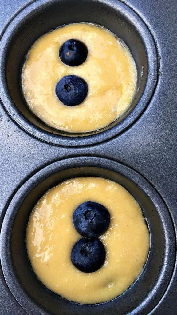 Dairy Free Lemon Blueberry Protein Muffins
