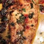 close up of chicken with sun-dried tomatoes and mushrooms in cream sauce