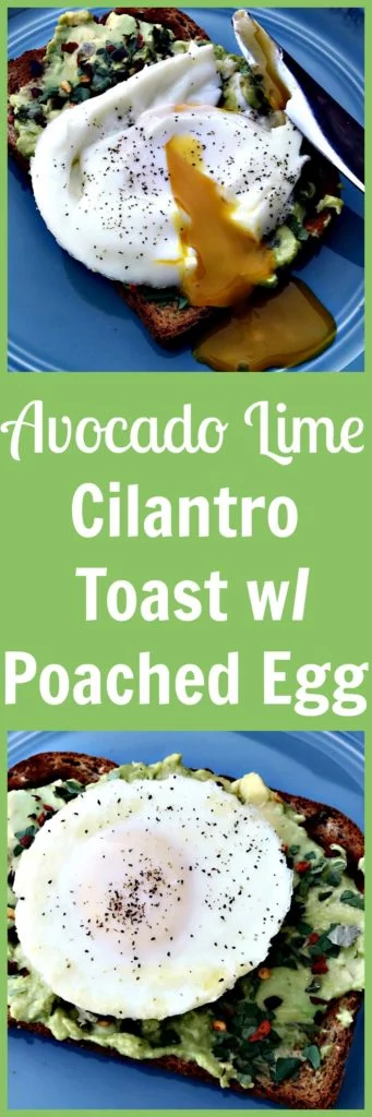 avocado lime cilantro toast with poached egg