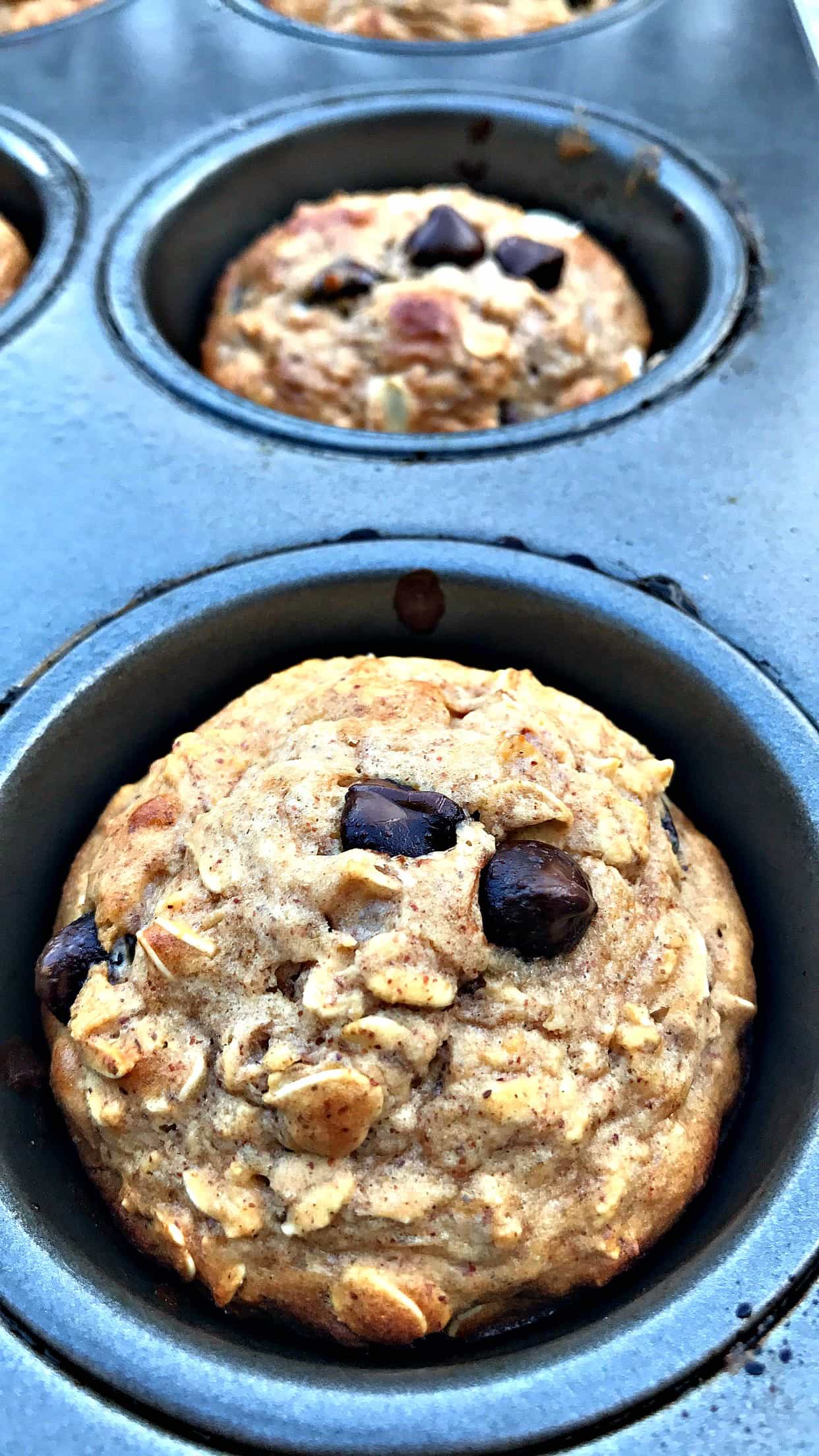 Almond Butter Chocolate Chip Protein Muffins