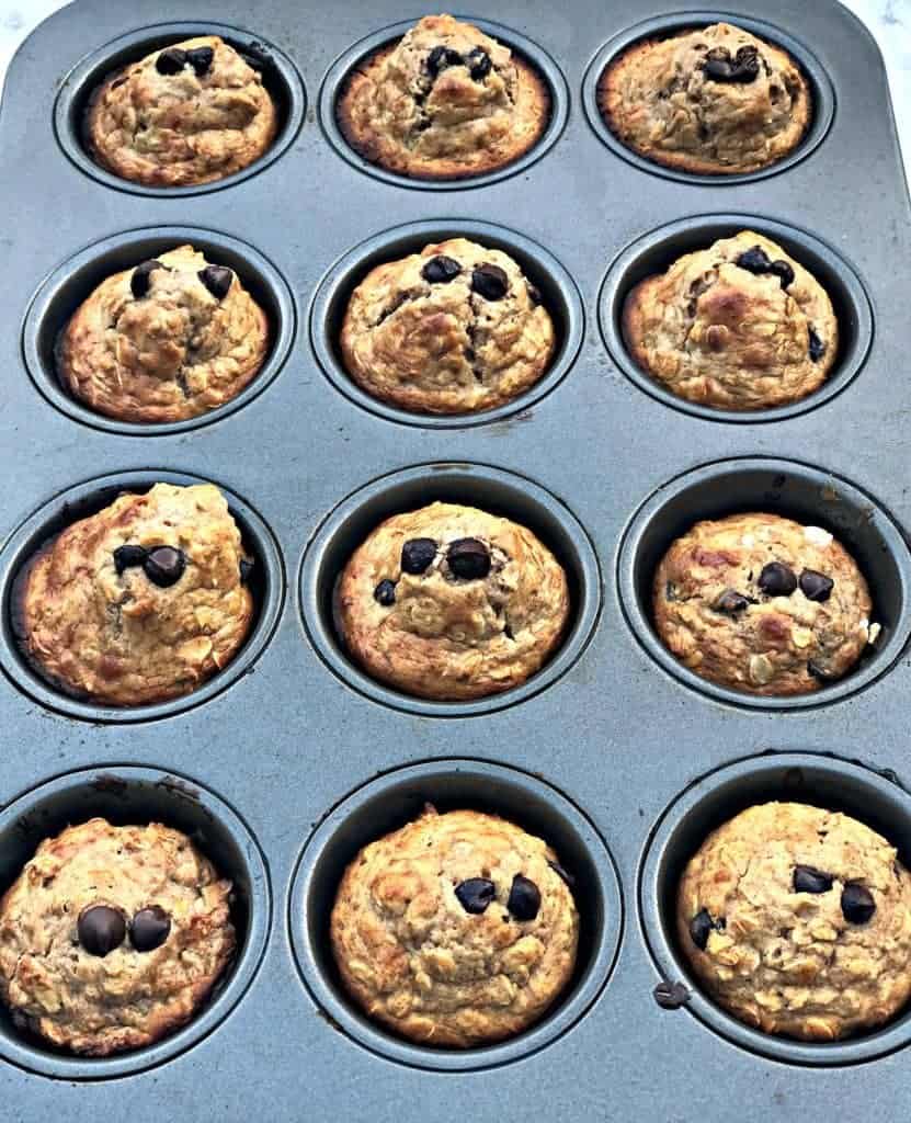 almond butter chocolate protein muffins