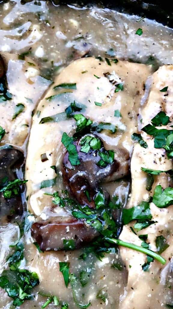 close up of chicken marsala