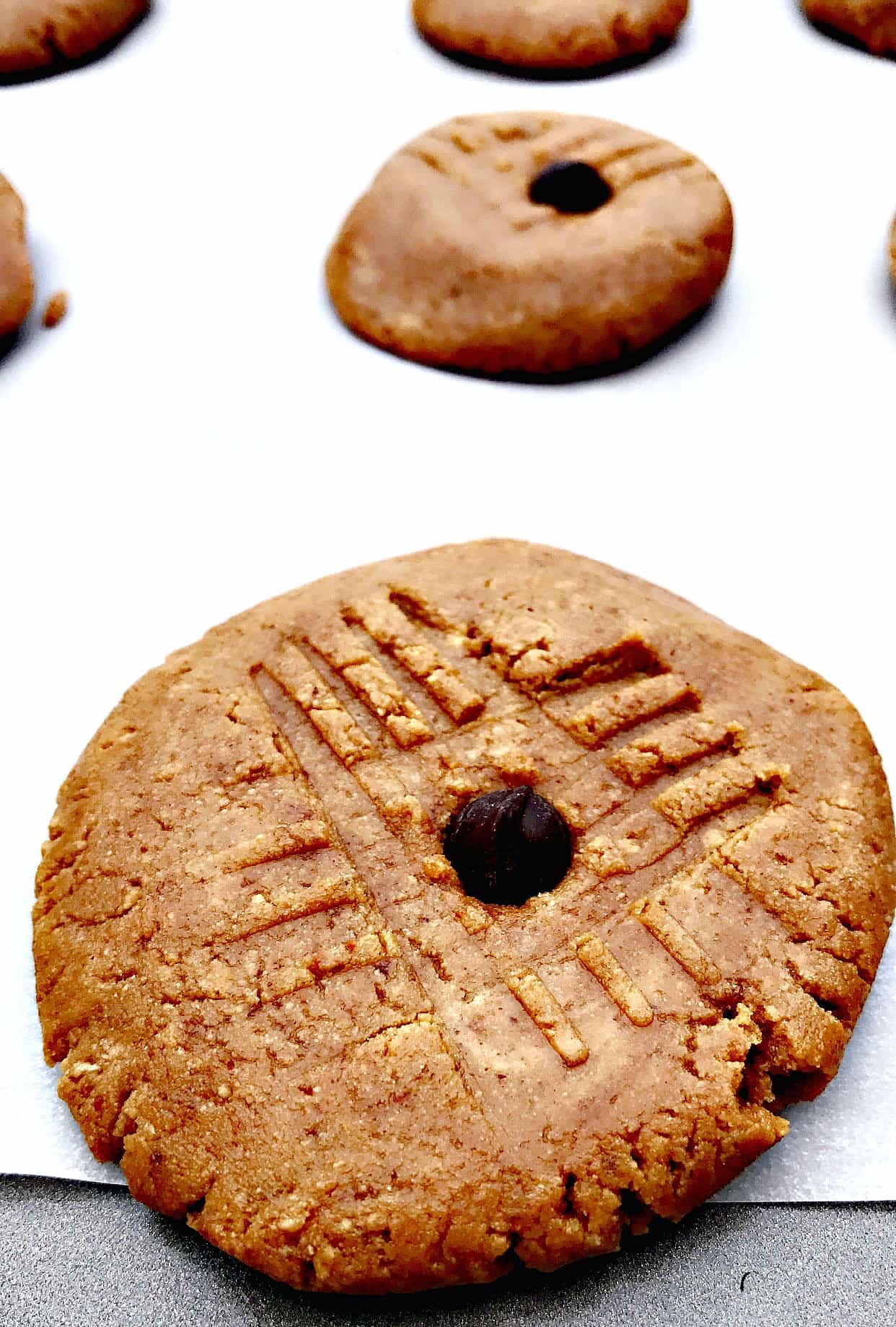 DairyFree GlutenFree Peanut Butter Chocolate Chip Protein Cookies