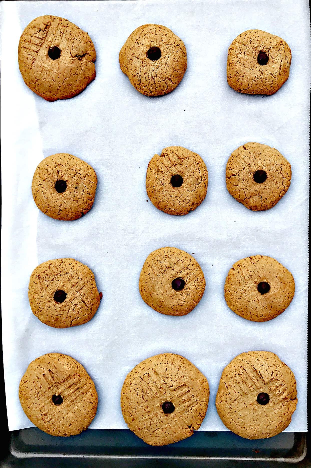 DairyFree GlutenFree Peanut Butter Chocolate Chip Protein Cookies