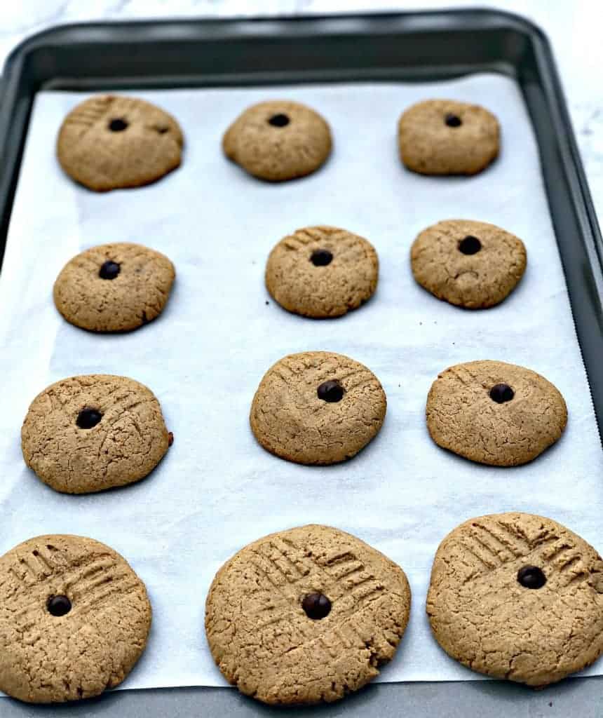 peanut butter dark chocolate chip protein cookies