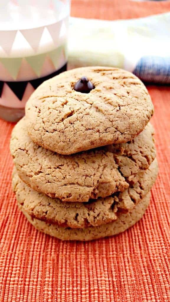 peanut butter dark chocolate chip protein cookies