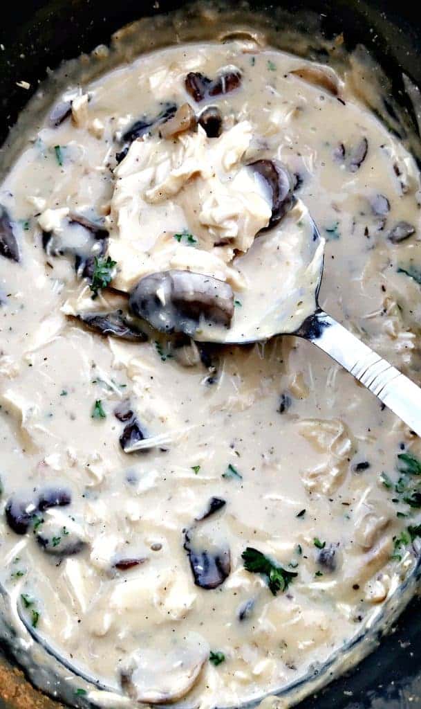 close up of slow cooker filled with chicken stroganoff