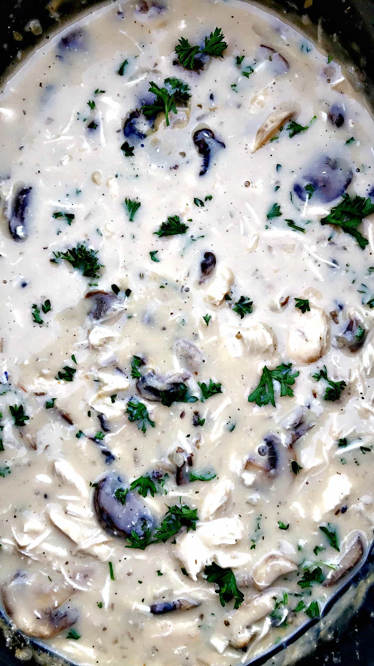 Healthy SlowCooker Creamy Chicken and Mushroom Pasta Stroganoff