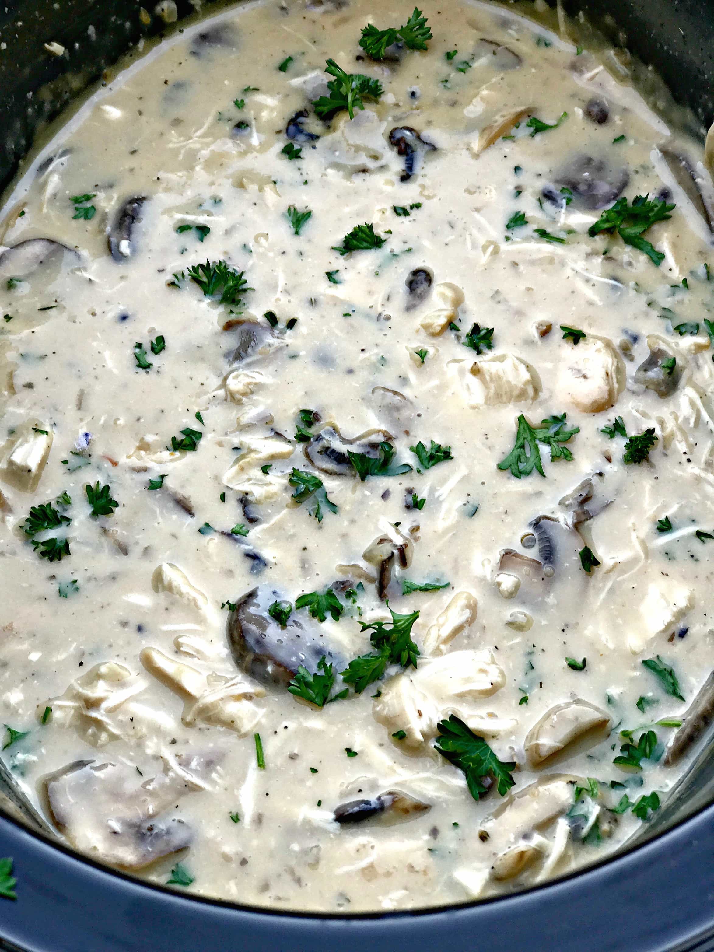 Healthy SlowCooker Creamy Chicken and Mushroom Pasta Stroganoff