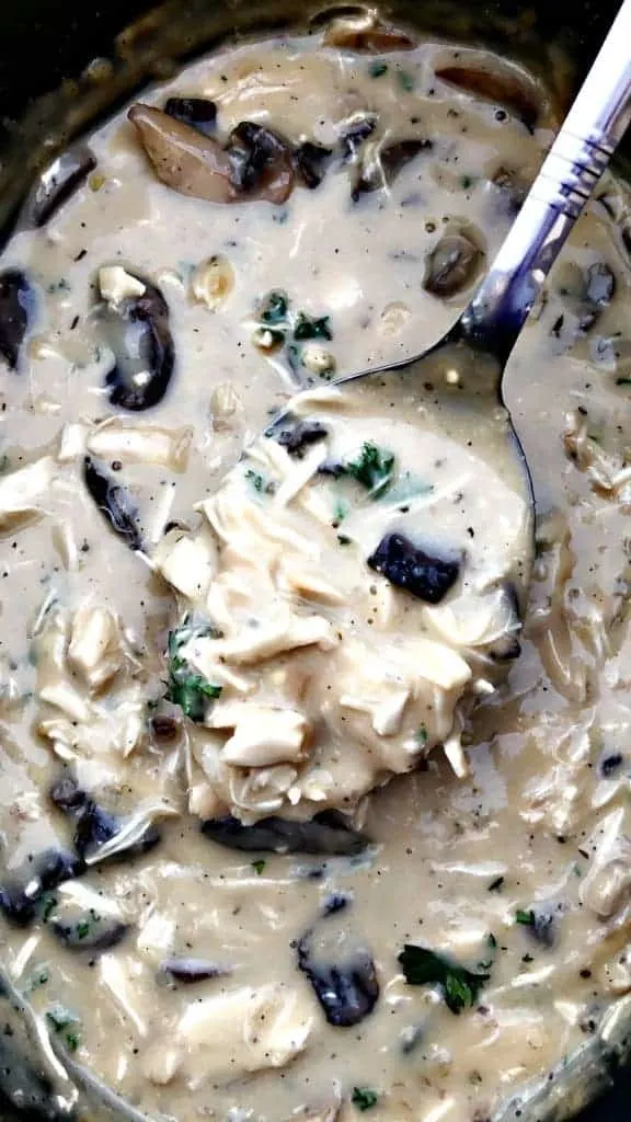 close up of slow cooker filled with chicken stroganoff