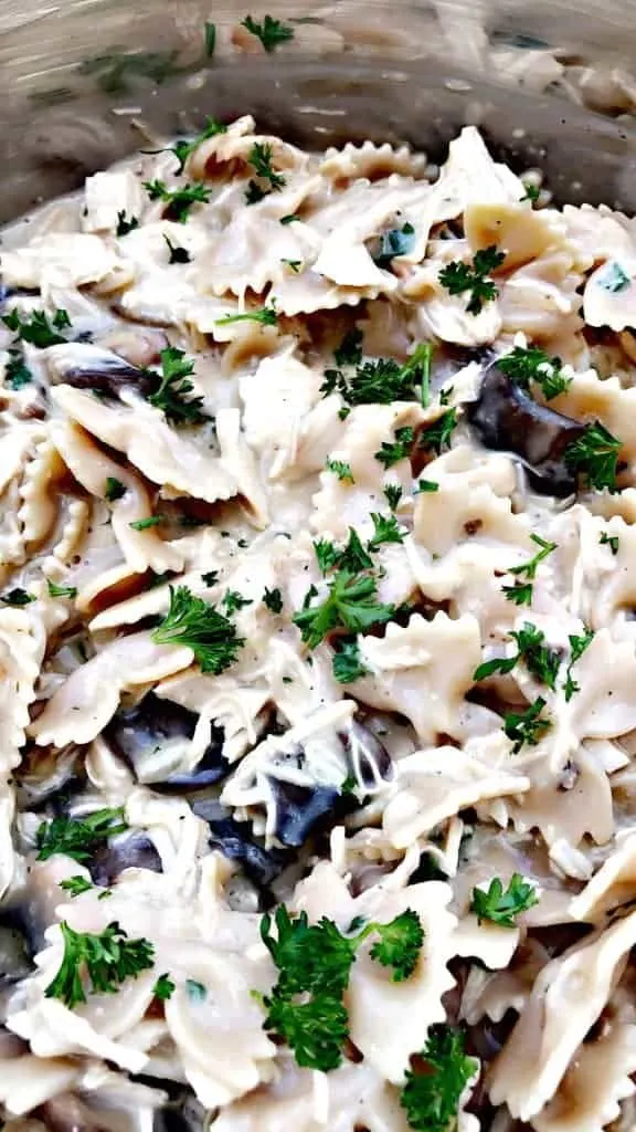 healthy slow cooker chicken stroganoff