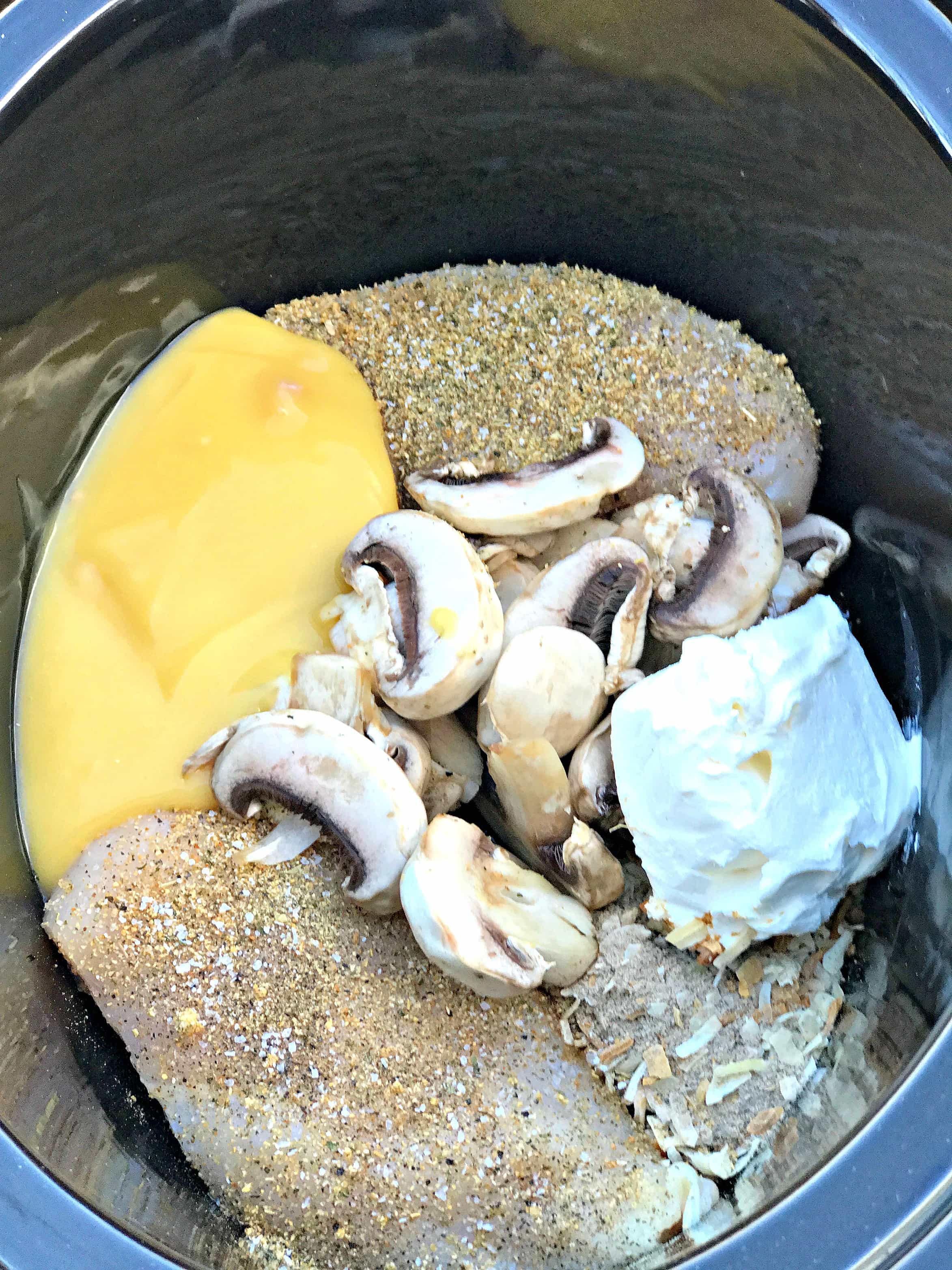 Healthy SlowCooker Creamy Chicken and Mushroom Pasta Stroganoff