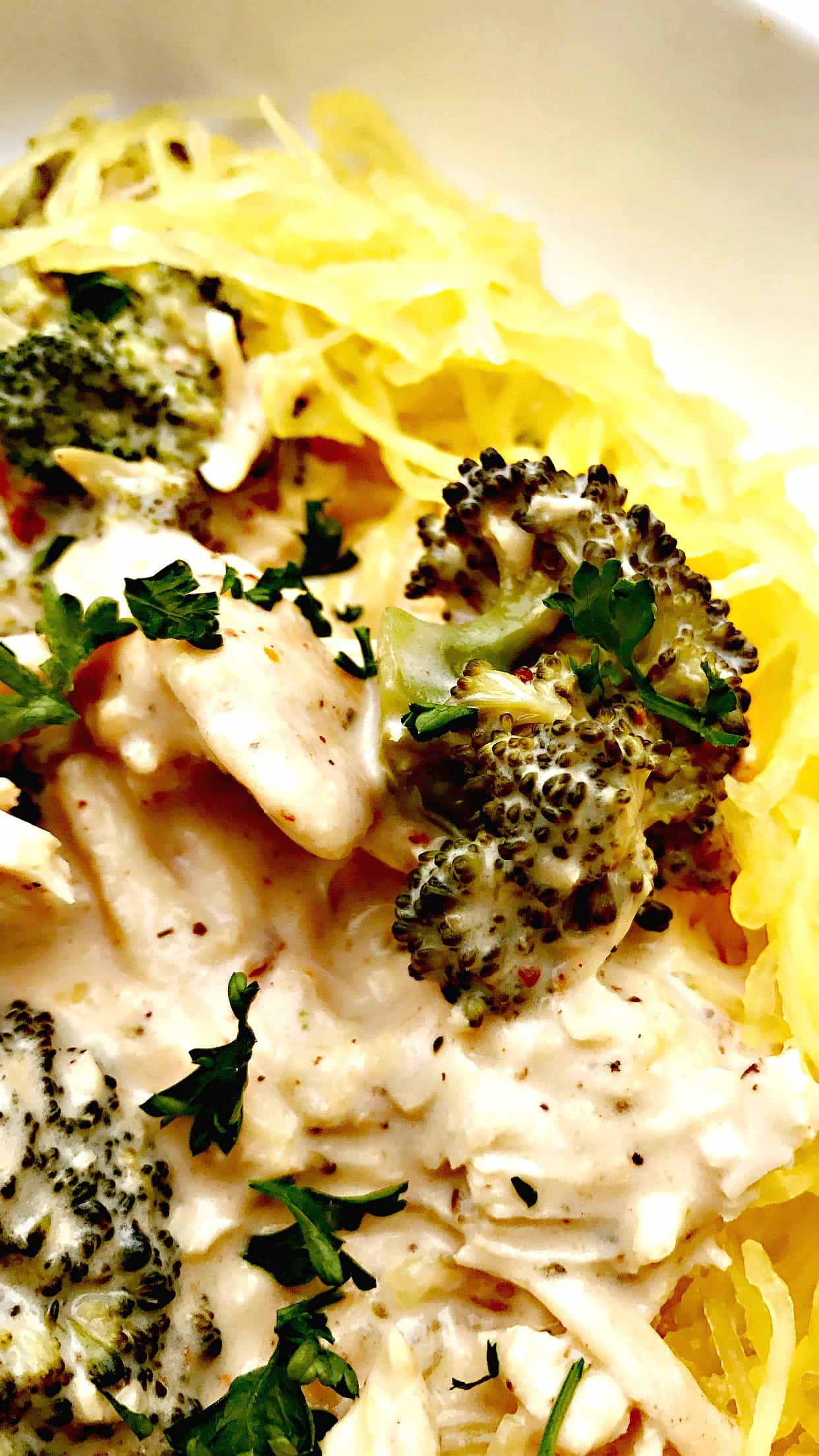 instant pot spaghetti squash chicken alfredo Stay Snatched