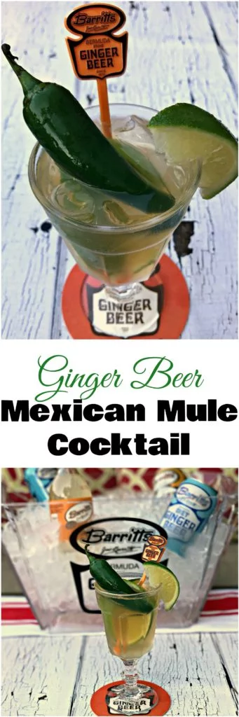 Ginger Beer Tequila Mexican Mule Cocktail