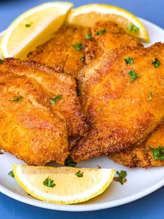 Air Fryer Catfish Story