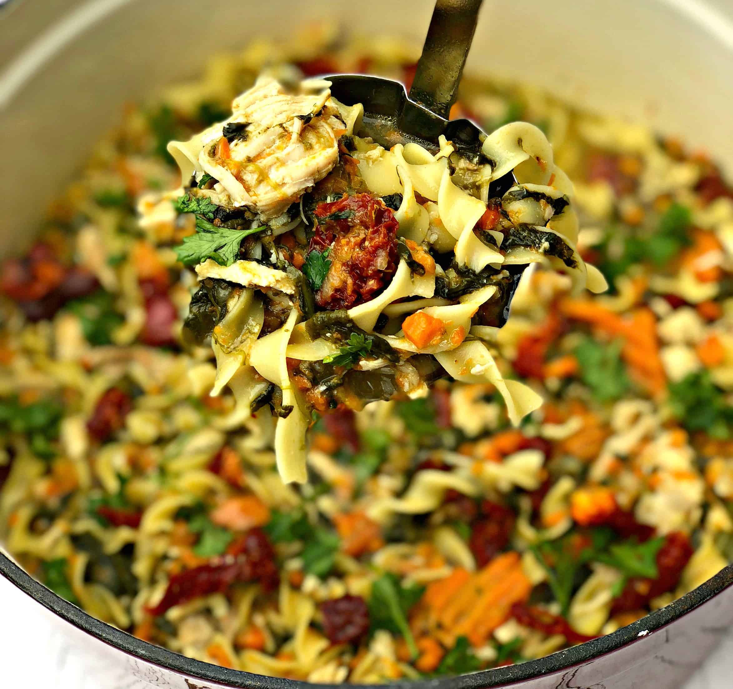 Easy, Instant Pot Chicken Noodle Soup and Spinach with VIDEO