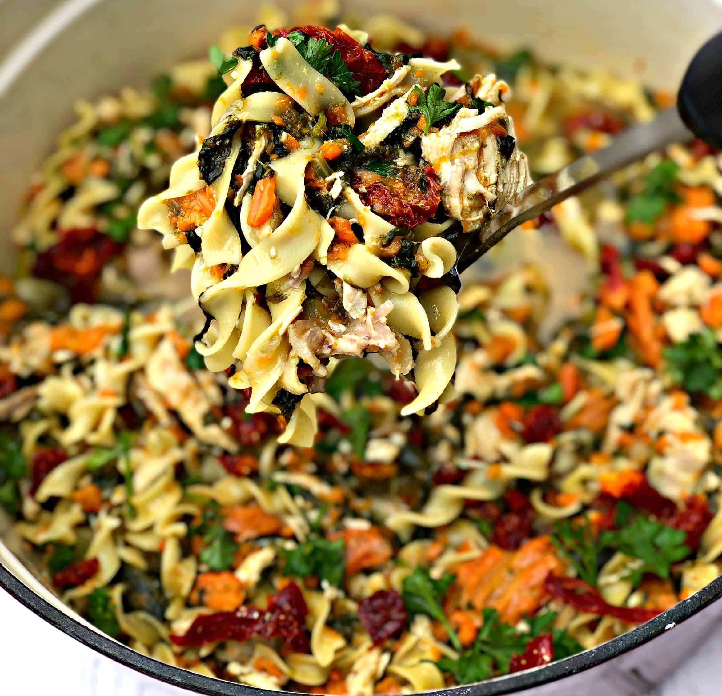Easy, Instant Pot Chicken Noodle Soup and Spinach with VIDEO