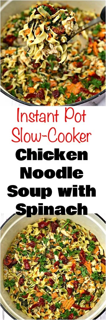 instant pot slow cooker chicken noodle soup with spinach