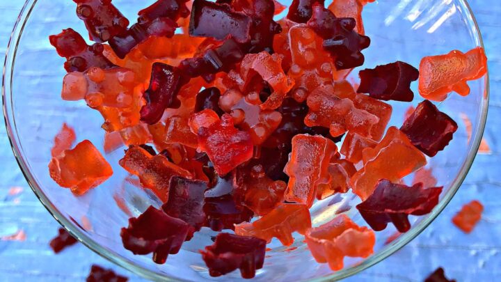 vodka filled gummy bears in a glass