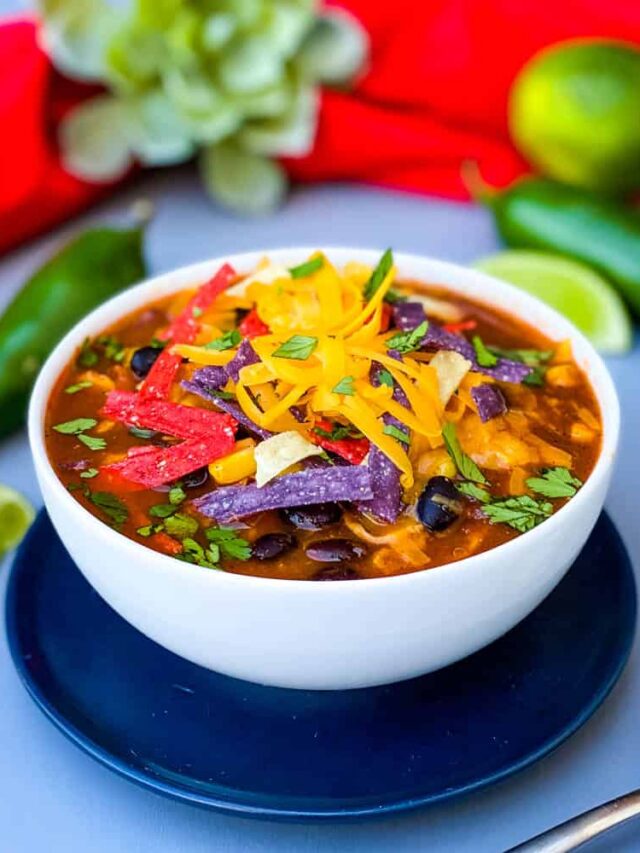 Instant Pot Chicken Tortilla Soup - 20 minute dinner
