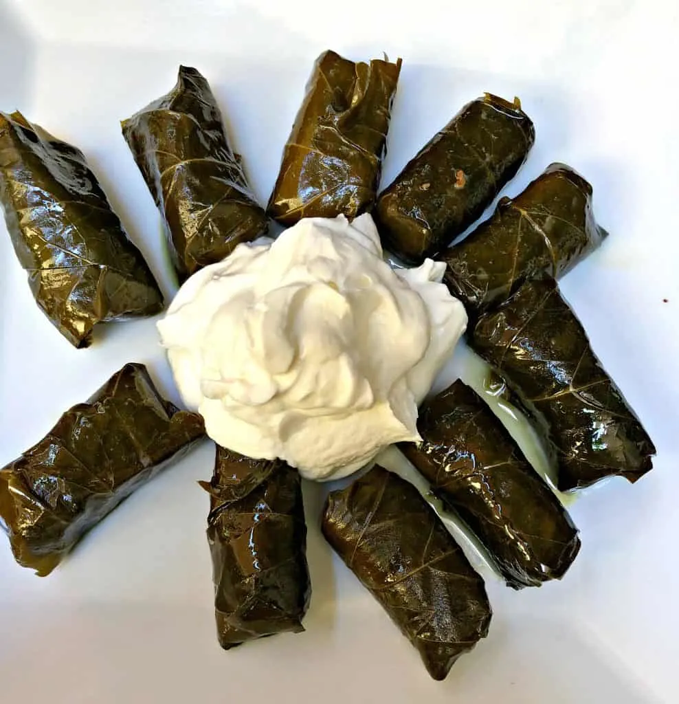 rice stuffed with grape leaves