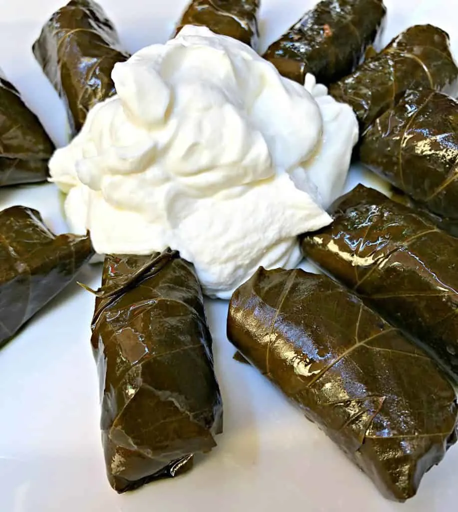 rice stuffed with grape leaves