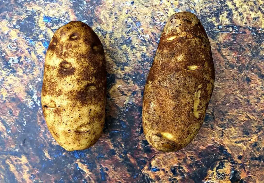 russet potatoes