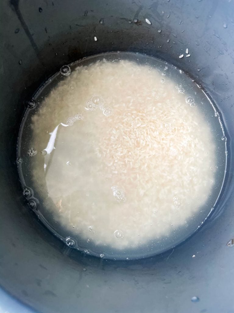 white rice and water in an Instant Pot