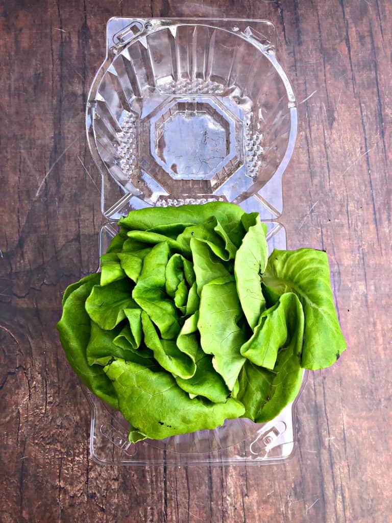 bibb butter lettuce