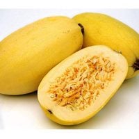 David's Garden Seeds Squash Winter Spaghetti SL0002 (Yellow) 50 Heirloom Seeds