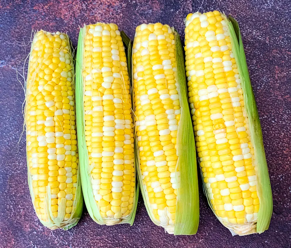 raw corn on the cob in the husk