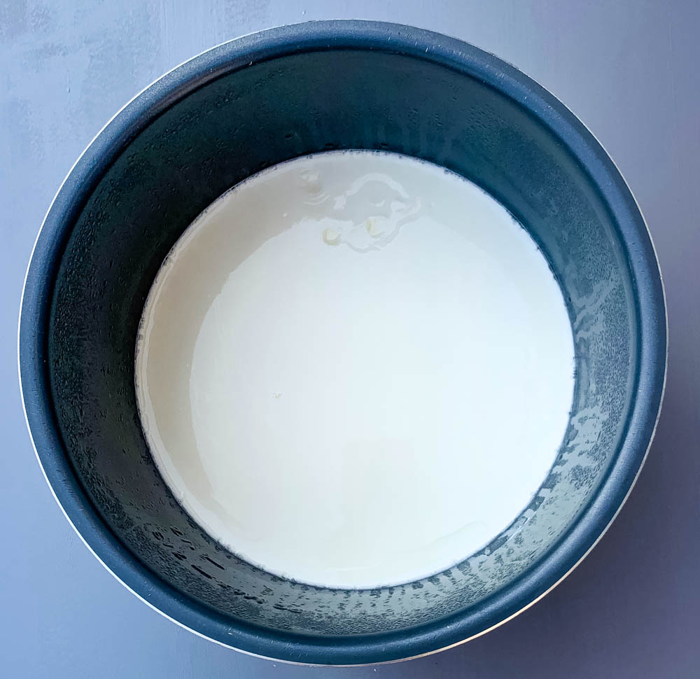 instant pot homemade yogurt in the pot