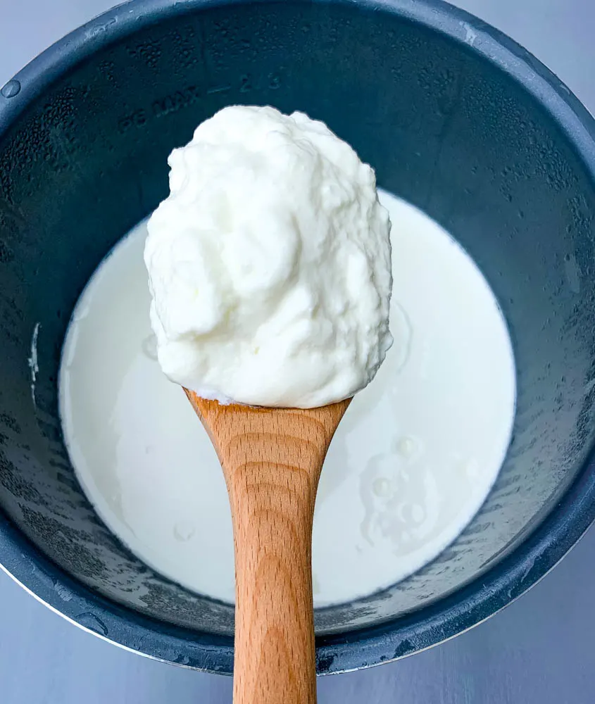 a wooden spoon with instant pot homemade yogurt