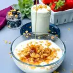 instant pot homemade yogurt in a glass bowl drizzled with honey