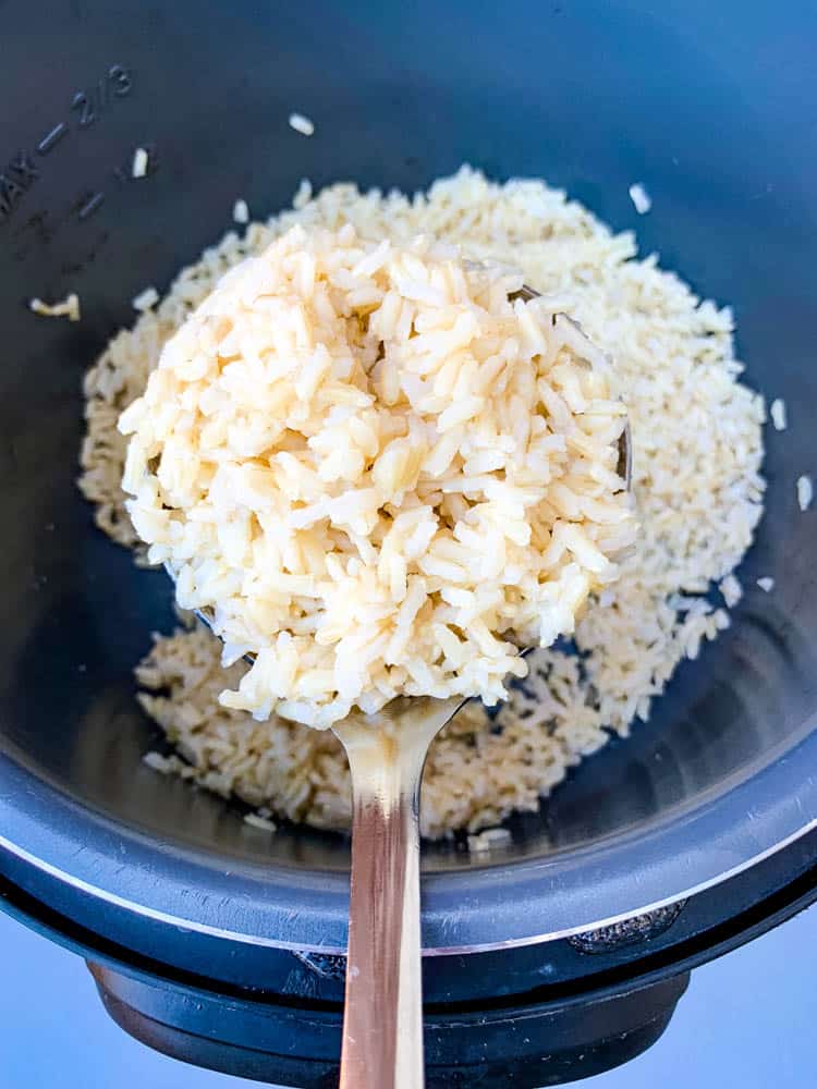 a spoonful of Instant Pot brown rice in an Instant Pot