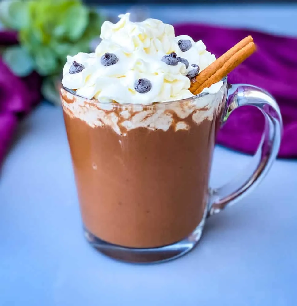 keto low carb hot chocolate in a glass mug with whipped cream and cinnamon and chocolate chips