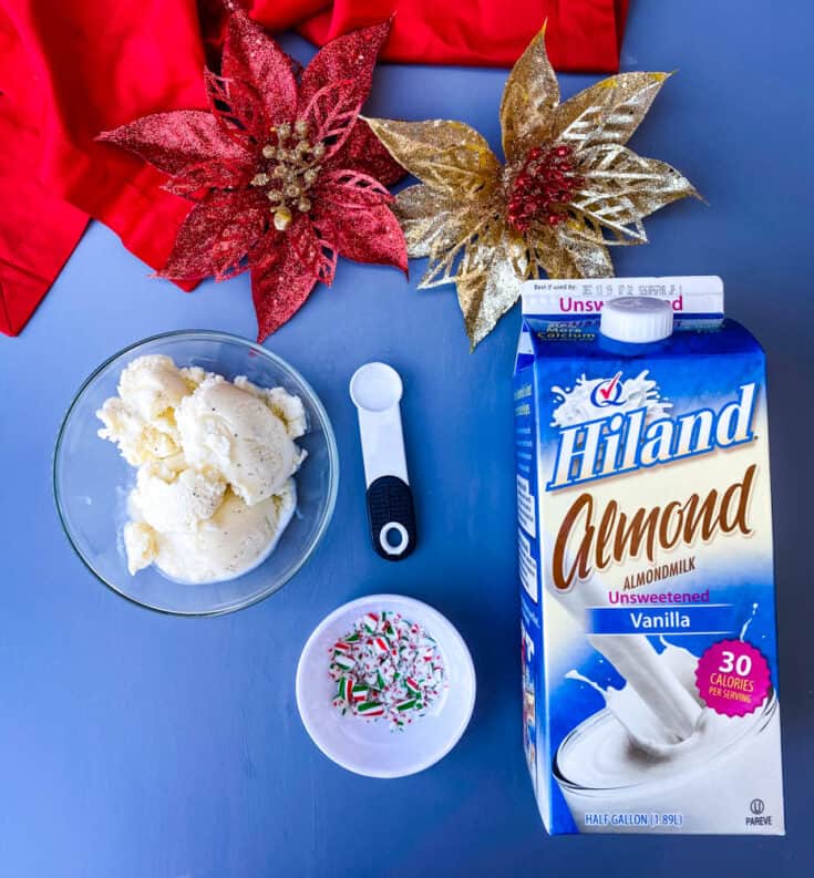 Quick and Easy Peppermint Milkshake Recipe