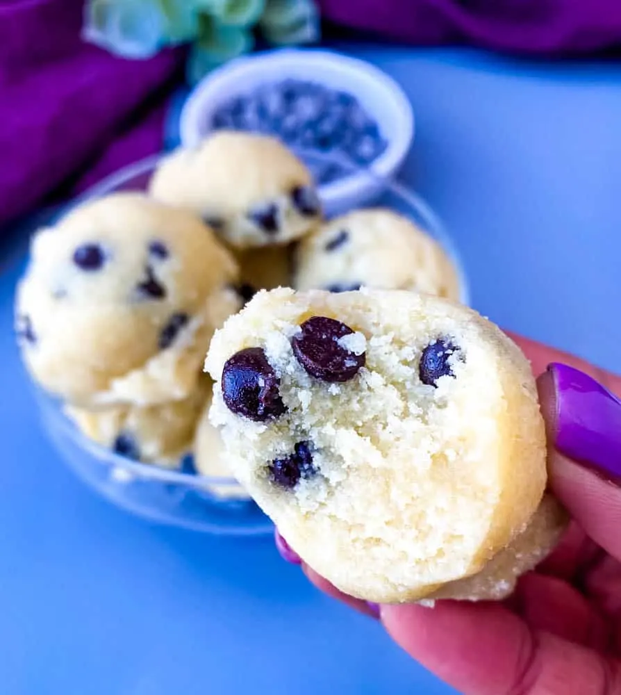 person holding keto low carb chocolate chip cookie dough bites