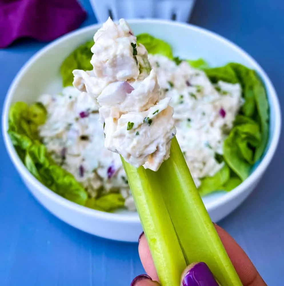 person holding keto chicken salad on a celery stalk