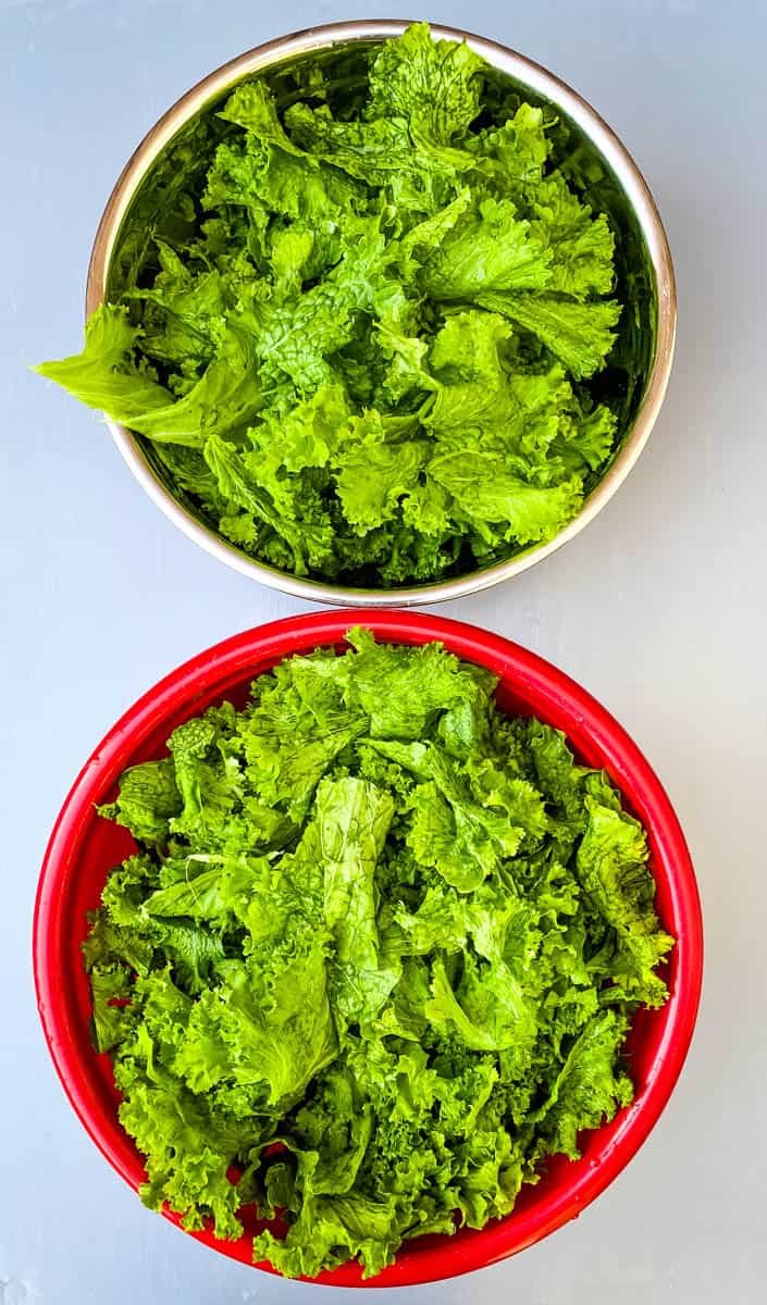 Easy Southern Mustard Greens Recipe + {VIDEO}