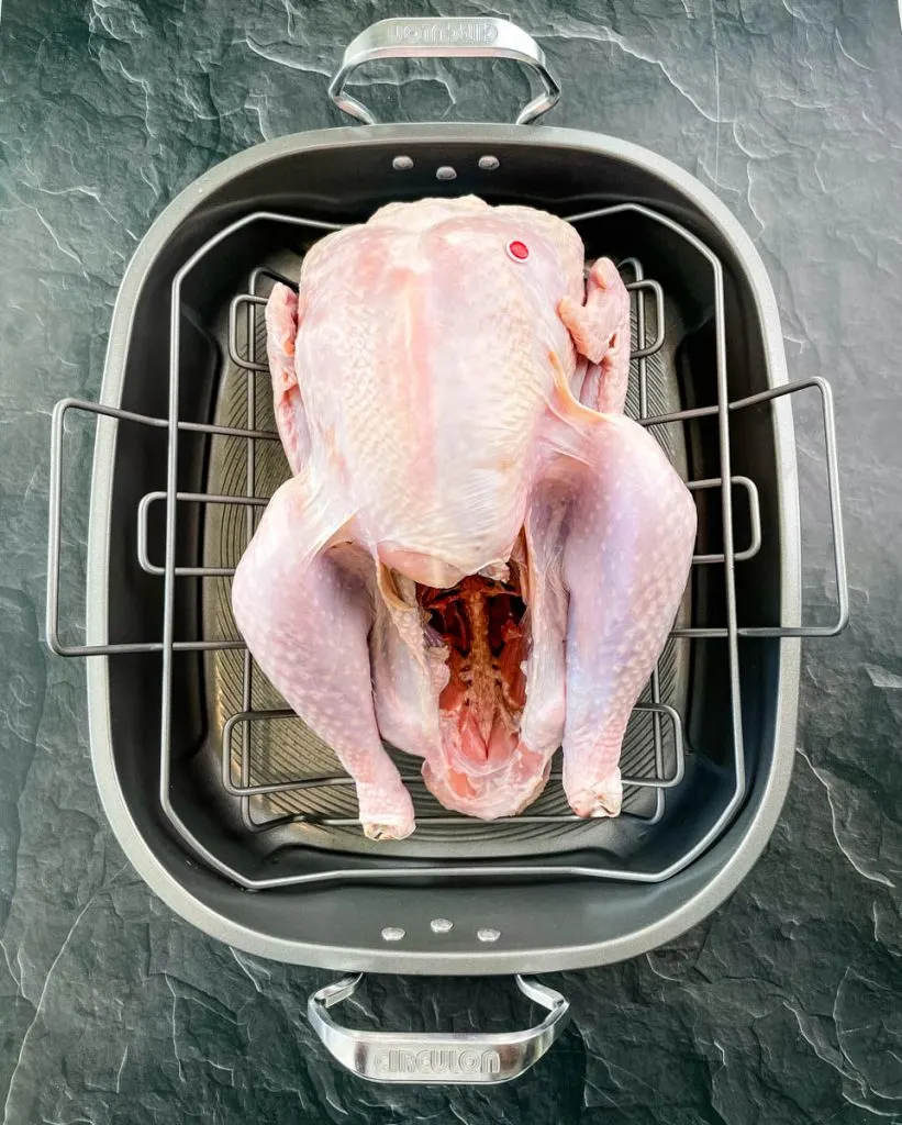raw turkey in a roasting pan