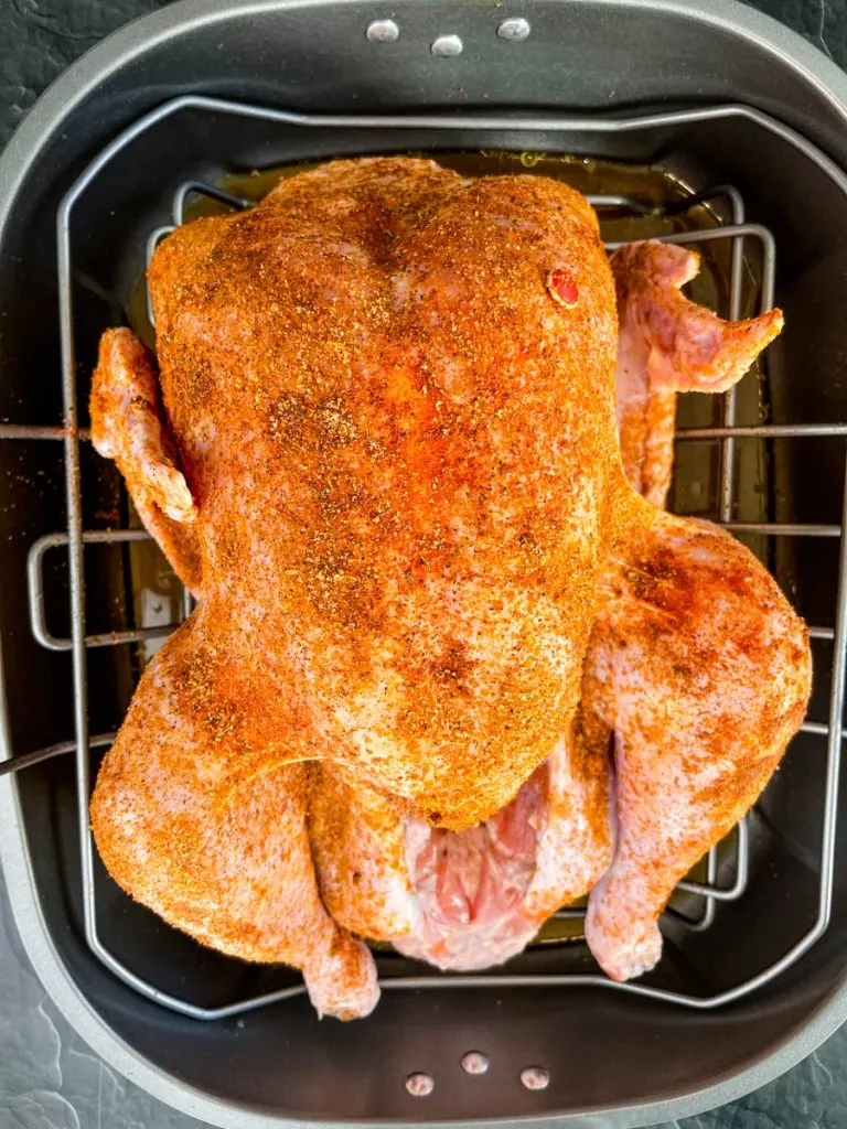 raw seasoned cajun turkey in a roasting pan