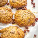 sugar free oatmeal raisin cookies on a flat surface